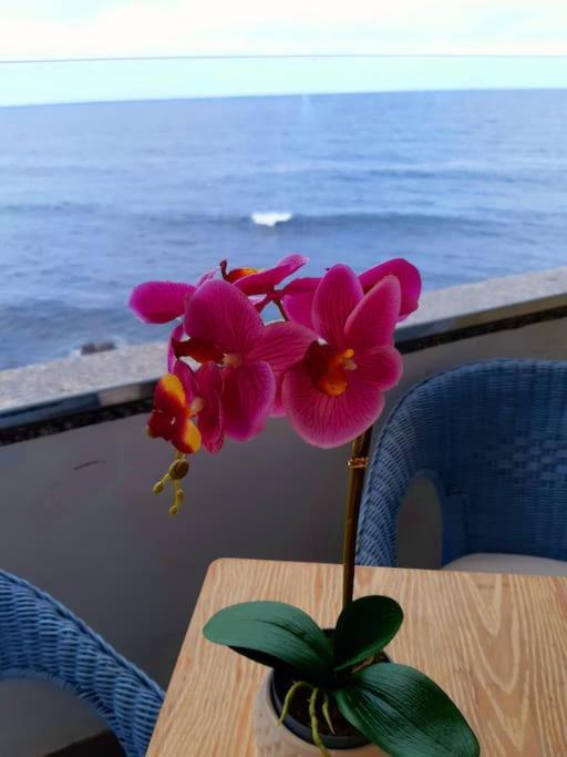 プエルト・デ・ラ・クルスOcean Orchideaアパートメント エクステリア 写真
